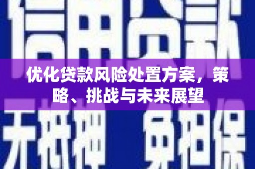 南郊优化贷款风险处置方案，策略、挑战与未来展望