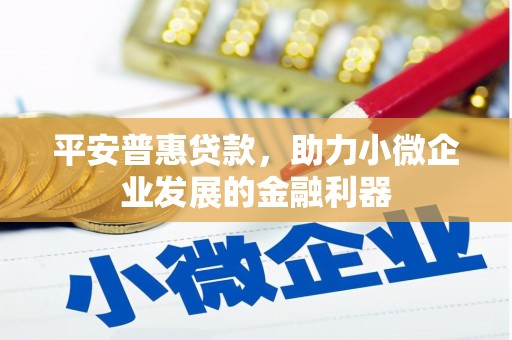 南郊平安普惠贷款，助力小微企业发展的金融利器