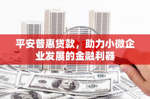 南郊平安普惠贷款，助力小微企业发展的金融利器