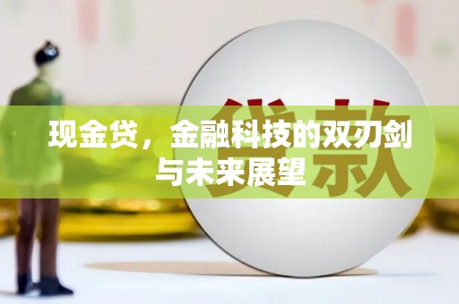 南郊现金贷，金融科技的双刃剑与未来展望