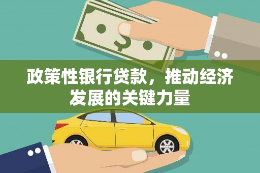 南郊政策性银行贷款，推动经济发展的关键力量