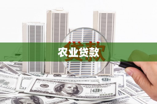 南郊农业贷款