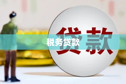 南郊税务贷款