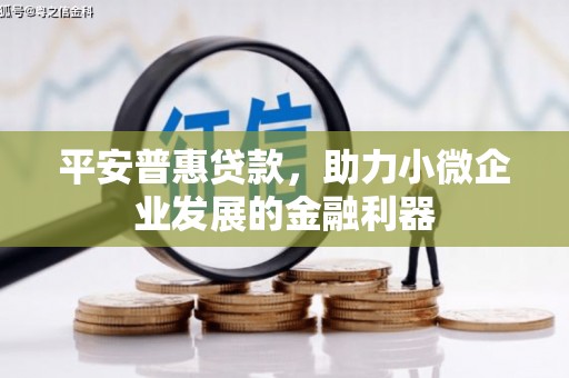 南郊平安普惠贷款，助力小微企业发展的金融利器