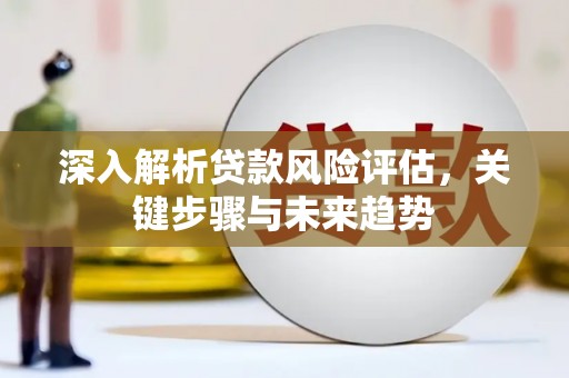 南郊深入解析贷款风险评估，关键步骤与未来趋势