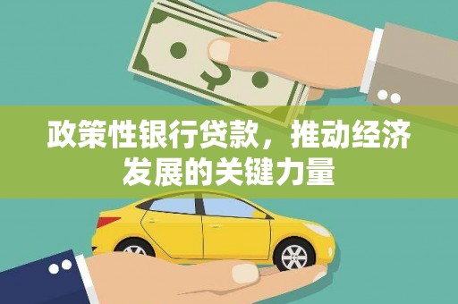 南郊政策性银行贷款，推动经济发展的关键力量