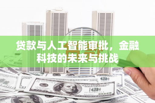 南郊贷款与人工智能审批，金融科技的未来与挑战