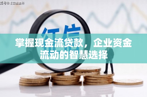 南郊掌握现金流贷款，企业资金流动的智慧选择