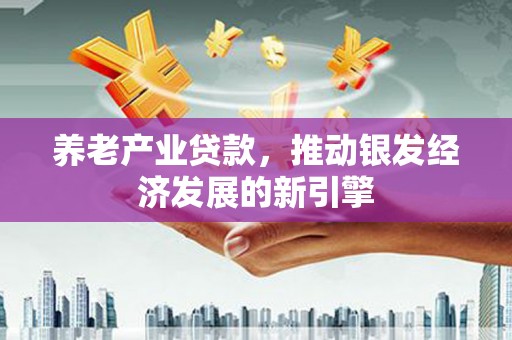 南郊养老产业贷款，推动银发经济发展的新引擎