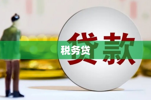 南郊税务贷