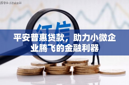 南郊平安普惠贷款，助力小微企业腾飞的金融利器