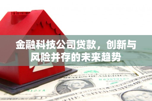 南郊金融科技公司贷款，创新与风险并存的未来趋势