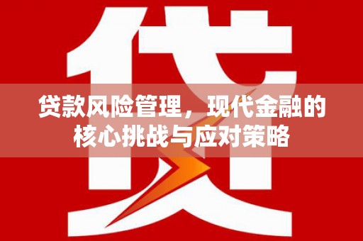 南郊贷款风险管理，现代金融的核心挑战与应对策略