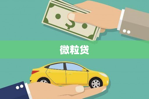 南郊微粒贷