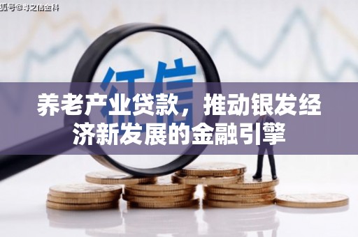 南郊养老产业贷款，推动银发经济新发展的金融引擎