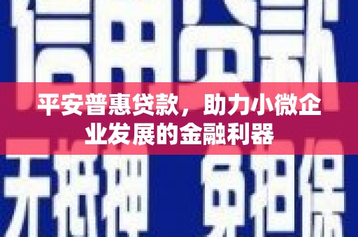 南郊平安普惠贷款，助力小微企业发展的金融利器