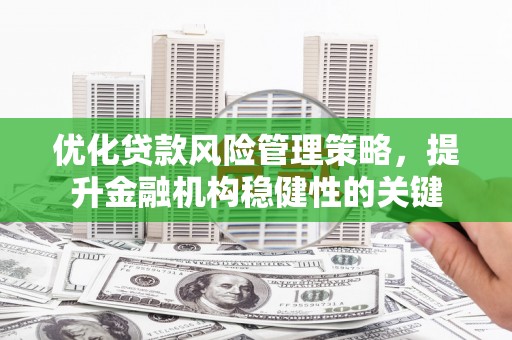 南郊优化贷款风险管理策略，提升金融机构稳健性的关键