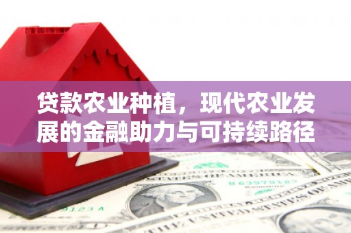 南郊贷款农业种植，现代农业发展的金融助力与可持续路径