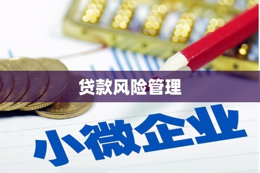 南郊贷款风险管理