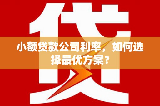 南郊小额贷款公司利率，如何选择最优方案？
