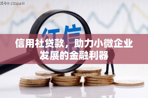 南郊信用社贷款，助力小微企业发展的金融利器