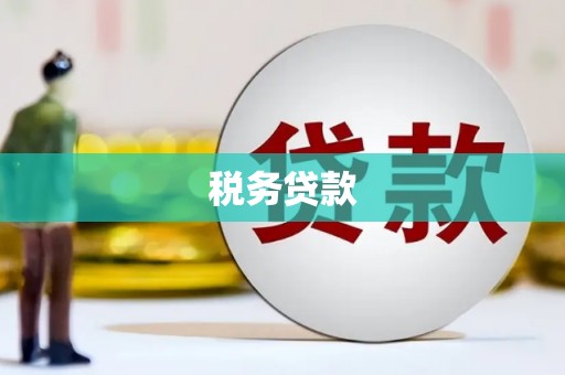 南郊税务贷款