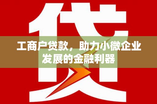 南郊工商户贷款，助力小微企业发展的金融利器