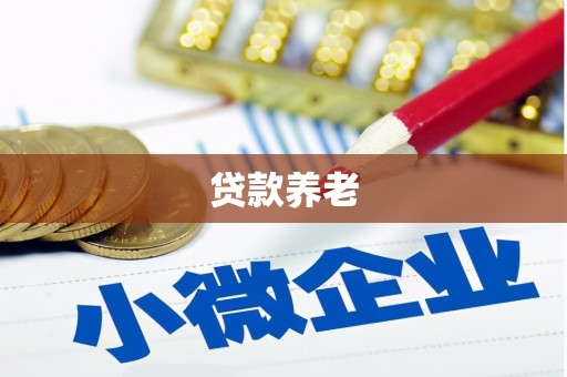南郊贷款养老