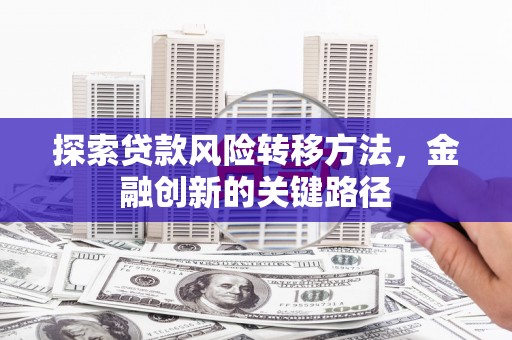 南郊探索贷款风险转移方法，金融创新的关键路径