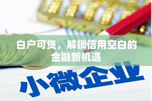 南郊白户可贷，解锁信用空白的金融新机遇