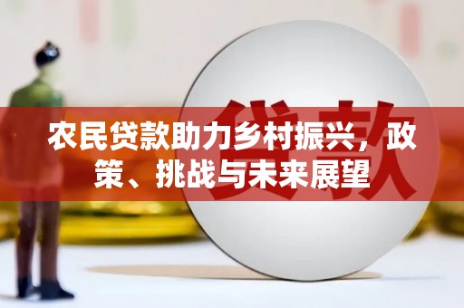 南郊农民贷款助力乡村振兴，政策、挑战与未来展望
