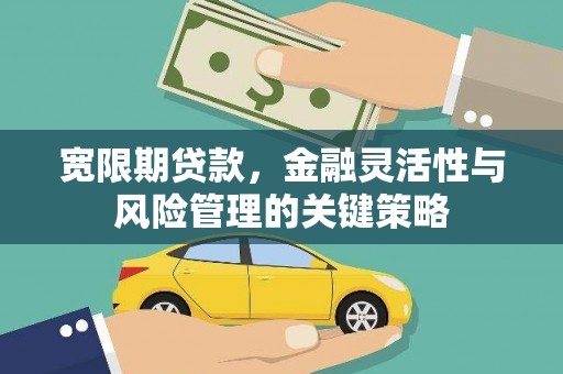 南郊宽限期贷款，金融灵活性与风险管理的关键策略