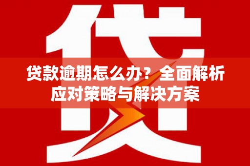 南郊贷款逾期怎么办？全面解析应对策略与解决方案