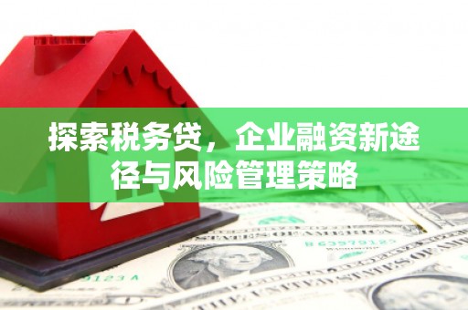 南郊探索税务贷，企业融资新途径与风险管理策略