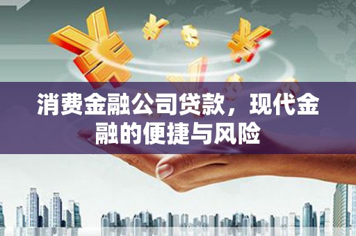 南郊消费金融公司贷款，现代金融的便捷与风险