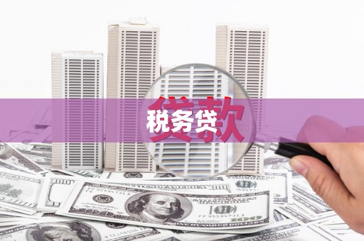 南郊税务贷