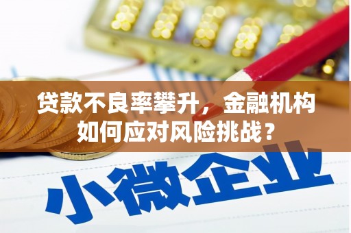 南郊贷款不良率攀升，金融机构如何应对风险挑战？