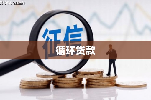 南郊循环贷款