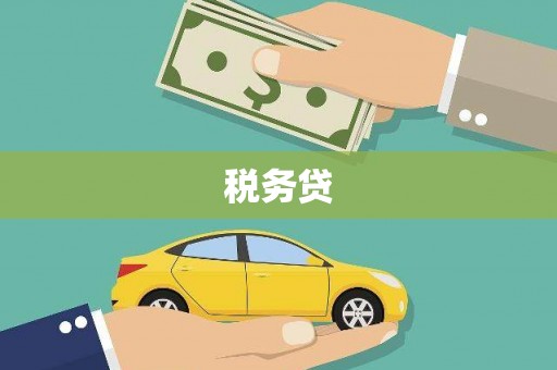 南郊税务贷