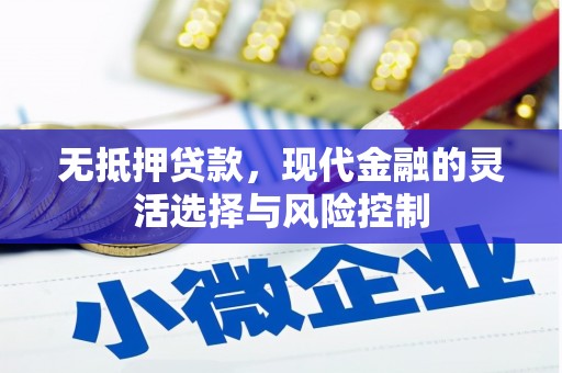 南郊无抵押贷款，现代金融的灵活选择与风险控制