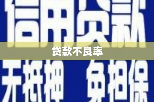 南郊贷款不良率