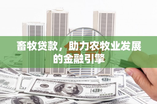 南郊畜牧贷款，助力农牧业发展的金融引擎