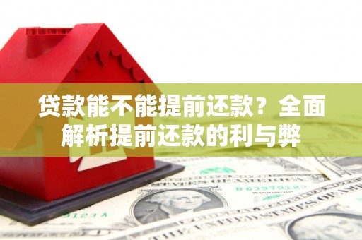 南郊贷款能不能提前还款？全面解析提前还款的利与弊