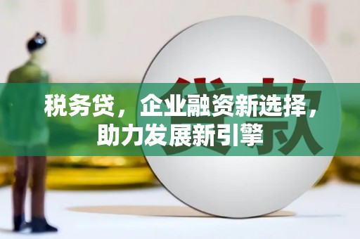 南郊税务贷，企业融资新选择，助力发展新引擎