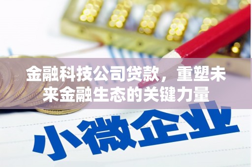 南郊金融科技公司贷款，重塑未来金融生态的关键力量