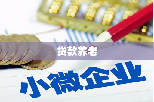 南郊贷款养老