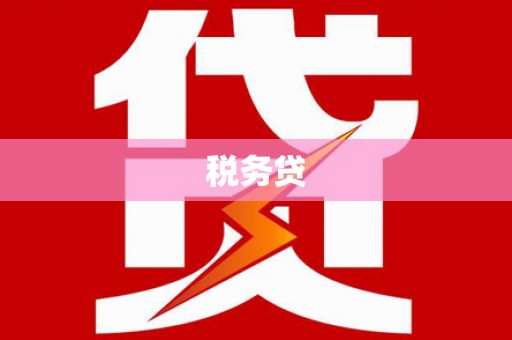 南郊税务贷
