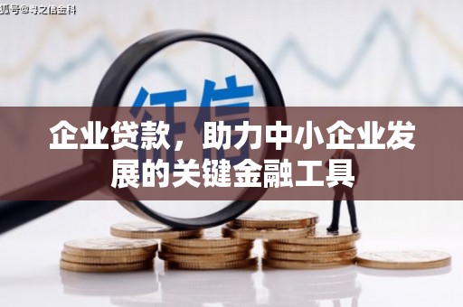 南郊企业贷款，助力中小企业发展的关键金融工具