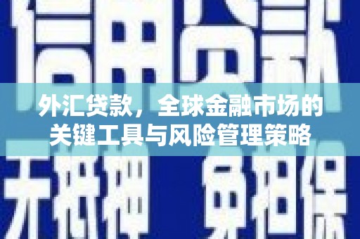 南郊外汇贷款，全球金融市场的关键工具与风险管理策略