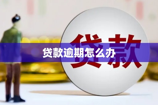 南郊贷款逾期怎么办